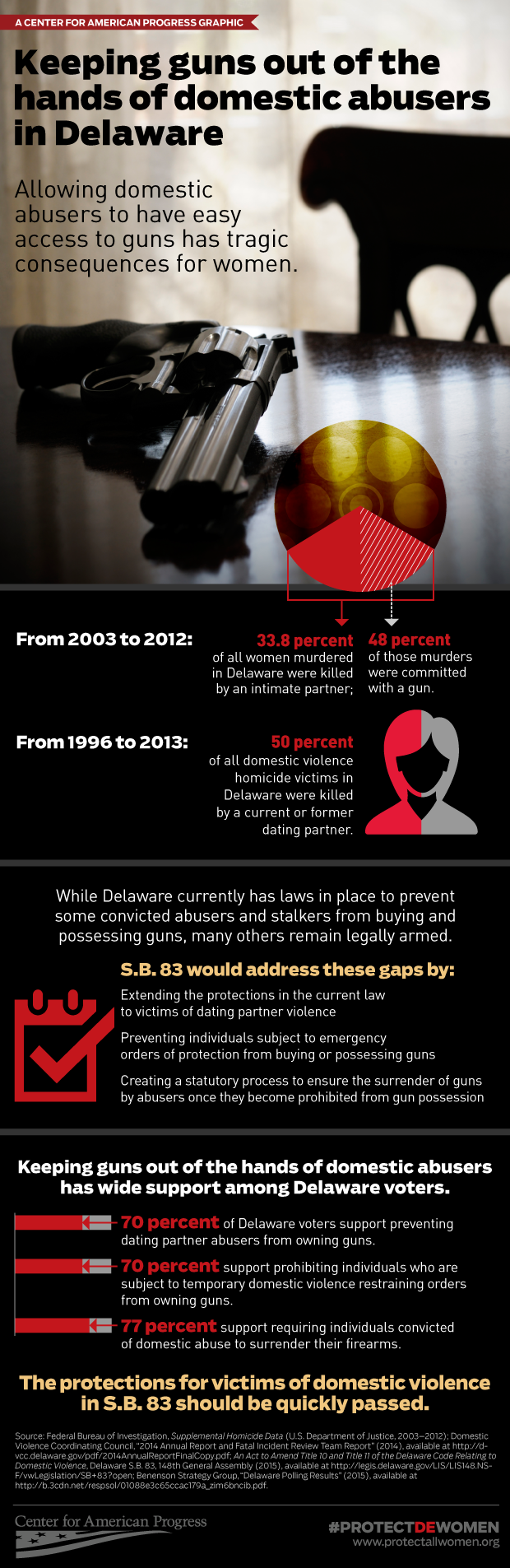 Delaware domestic violence infographic