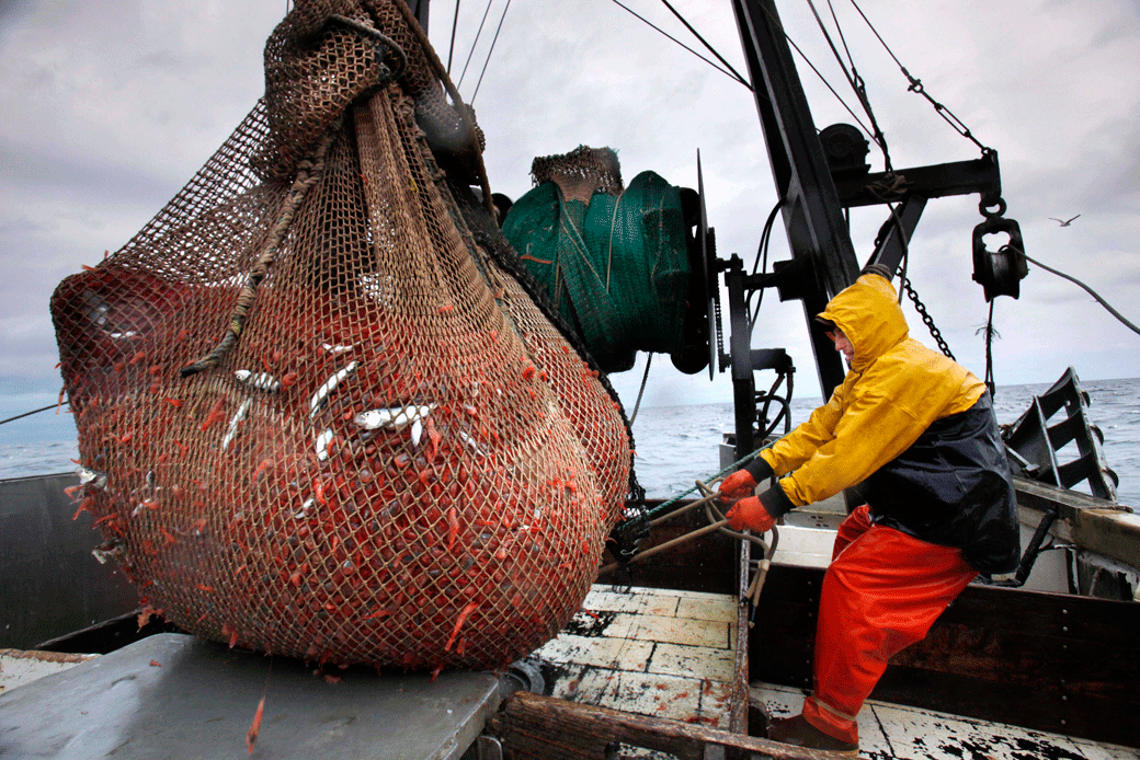 Why every fisherman needs fishing face masks, by Michael Crichton