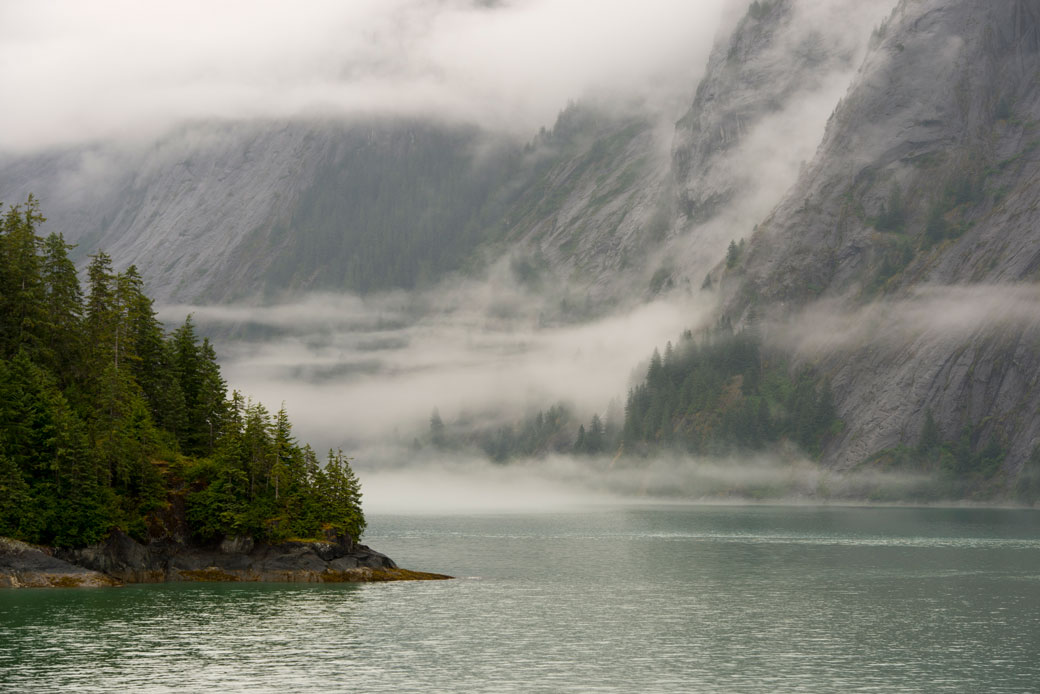 Fraud in the Tongass - Center for American Progress