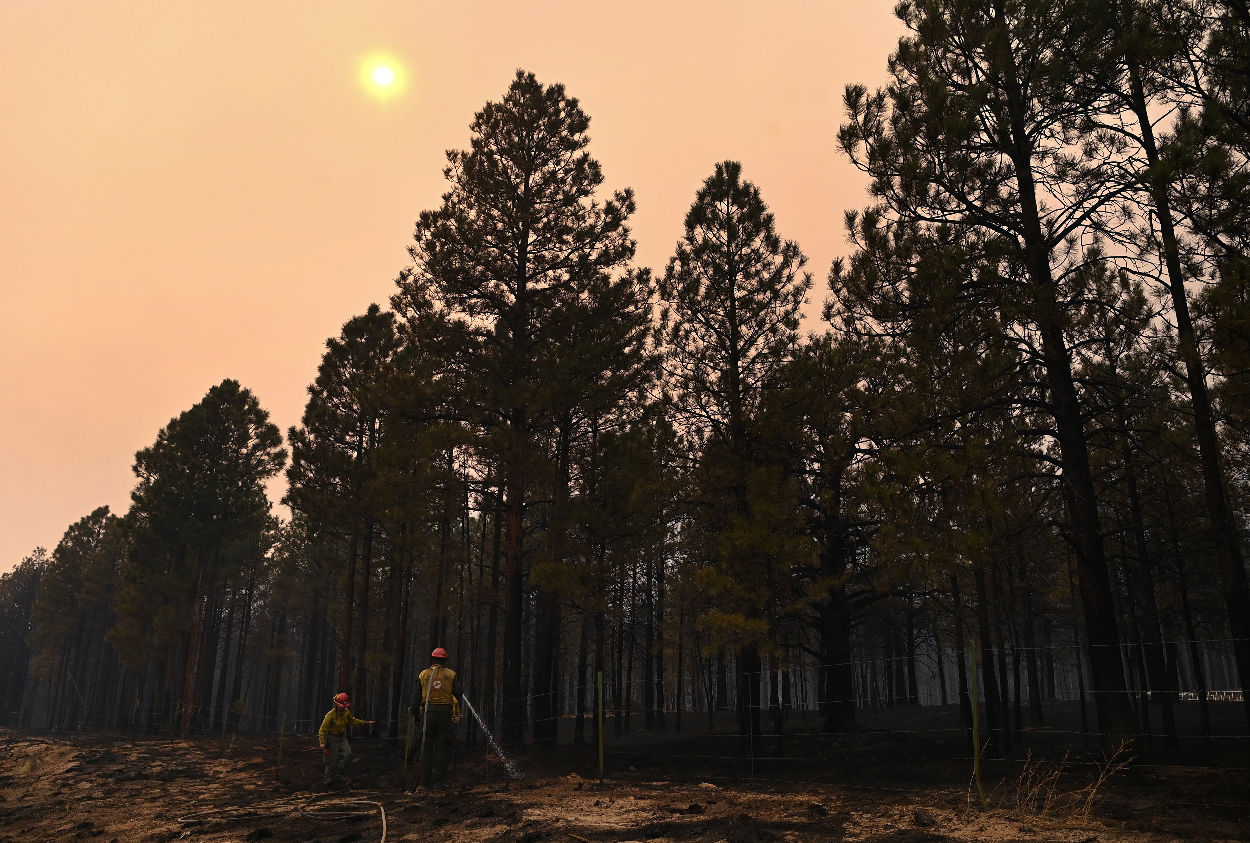 How To Improve Community Wildfire Defense Grants To Build Rural ...