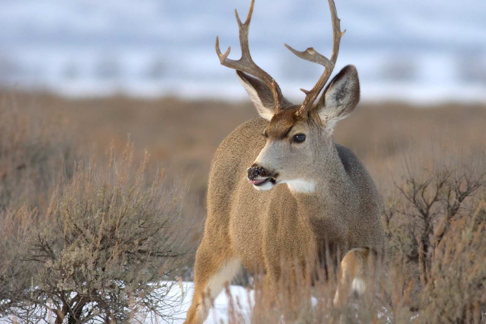 What Biden’s Proposed Conservation Rule Would Mean for America’s Most ...