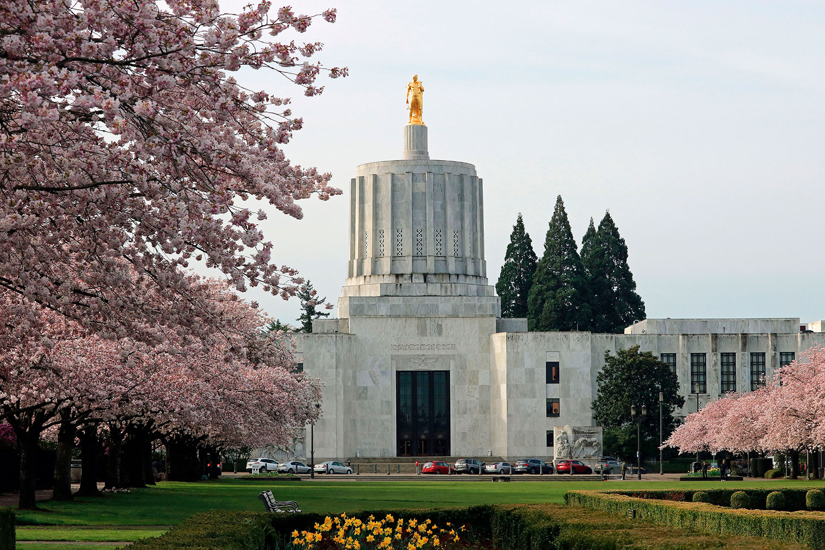 The Oregon Capitol building is seen behind cherry blossom trees
